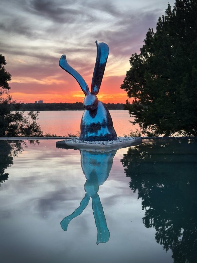 Option 1: Visit the Dallas Arboretum