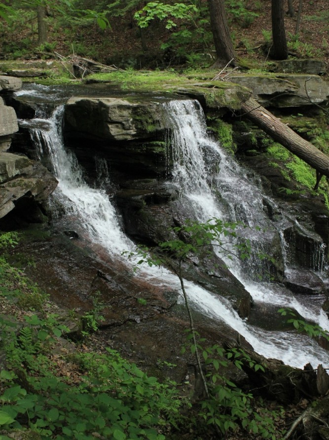 Osterhout Falls