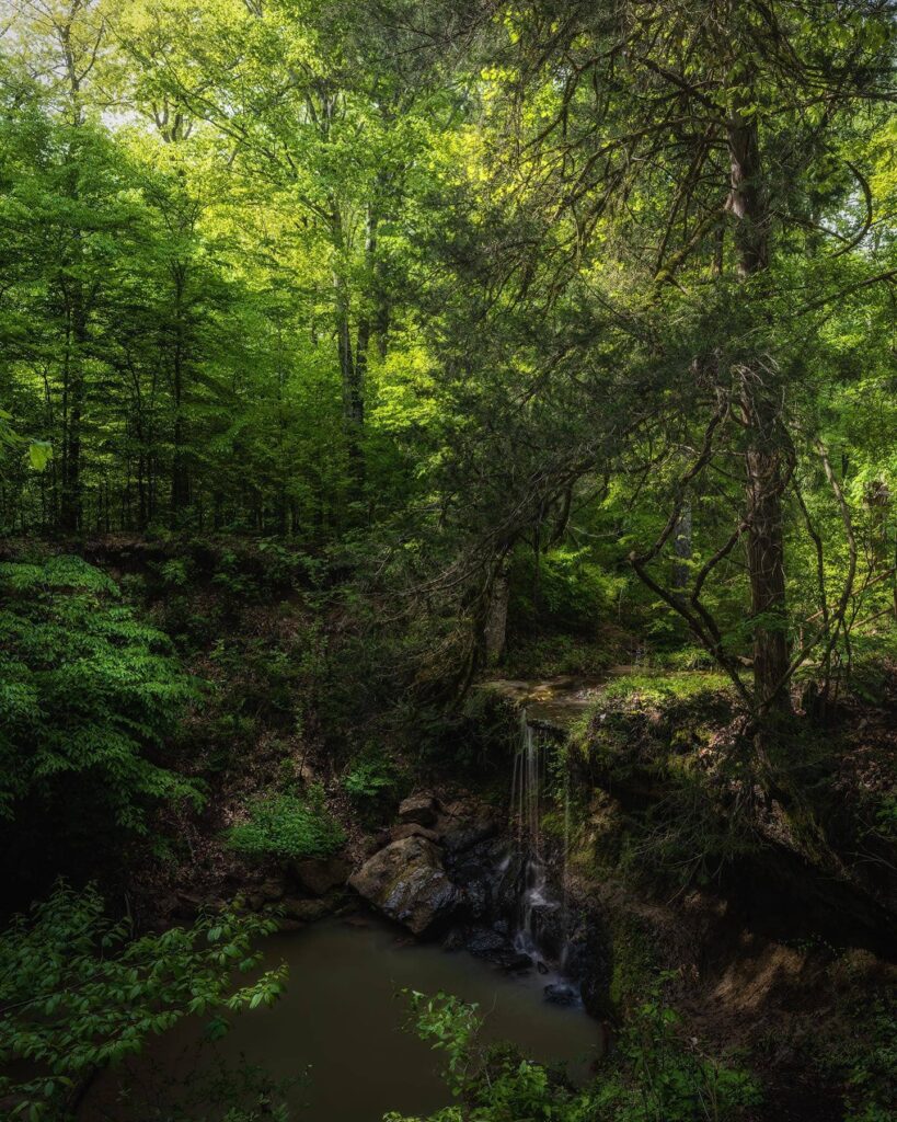 Owens Creek Waterfall, Hermanville