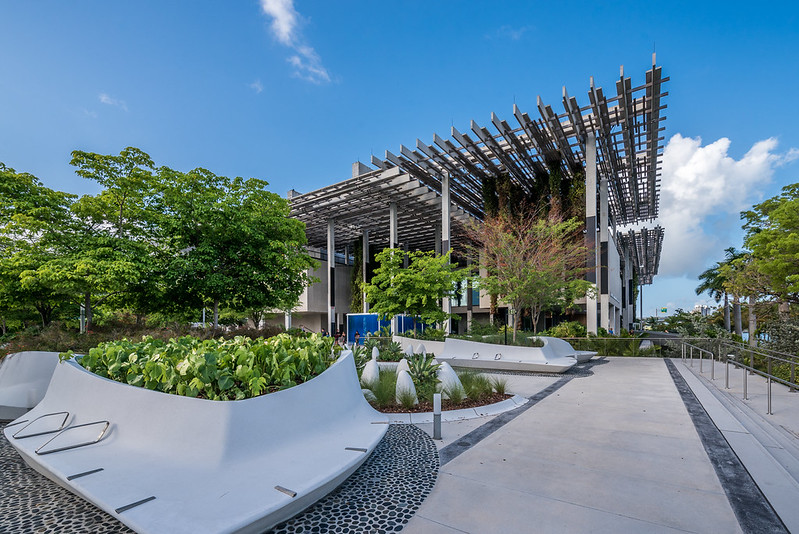Pérez Art Museum Miami: Experience Contemporary Art Beside Biscayne Bay