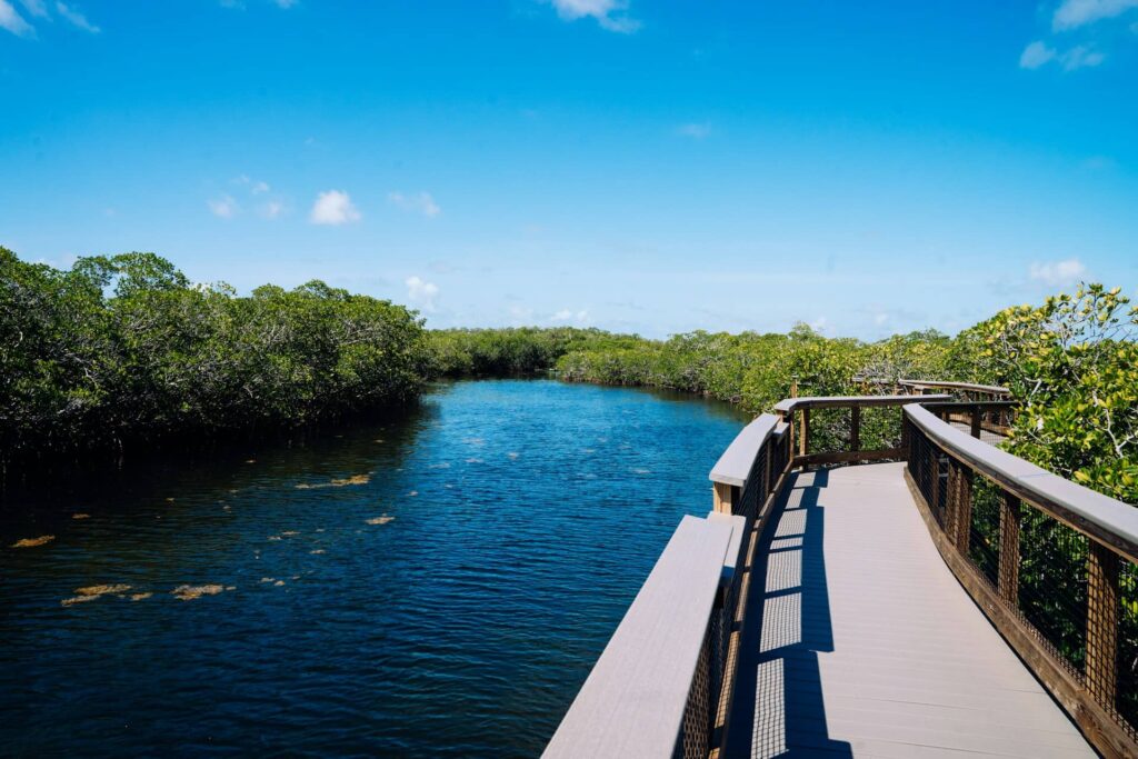 Perfect 7-Day Florida National Parks Itinerary