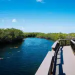Perfect 7-Day Florida National Parks Itinerary