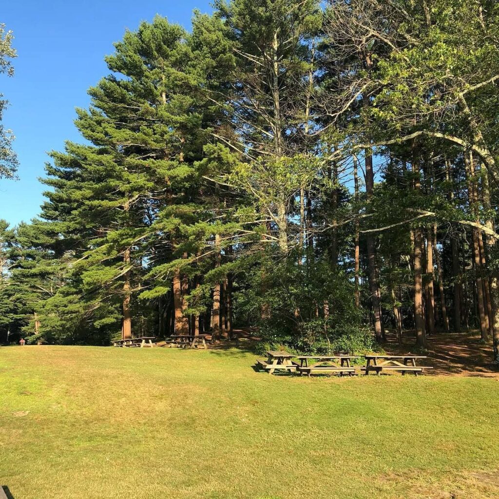 Quaddick State Park