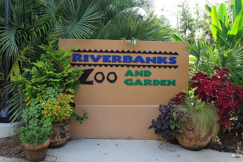 Riverbanks Zoo and Garden Animals, Flowers, and Family Fun