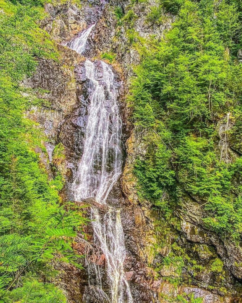 Rocky Brook Falls