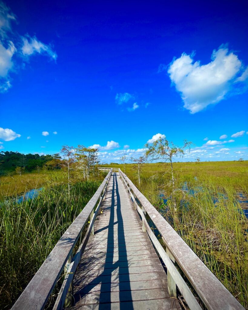 Royal Palm Interpretive Trails