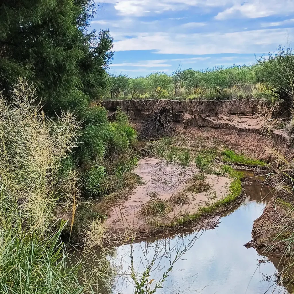 San Pedro Riparian National Conservation Area