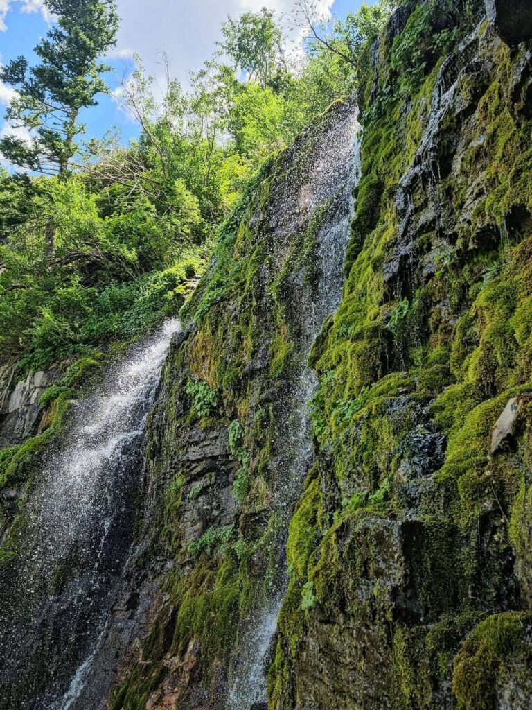 Scout Falls