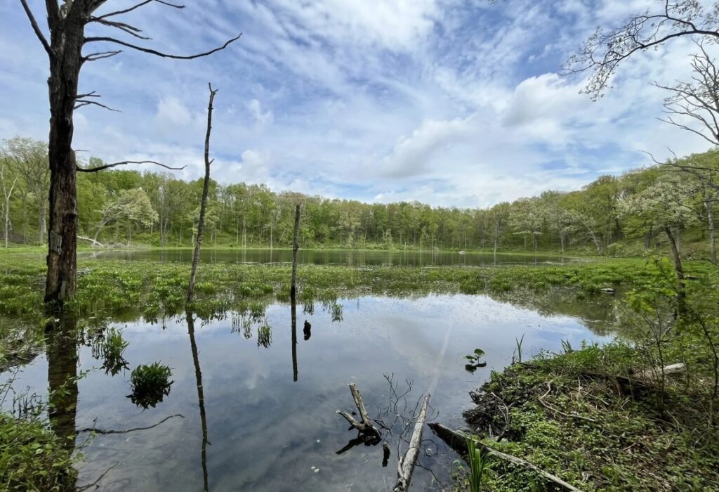 Albion, Indiana