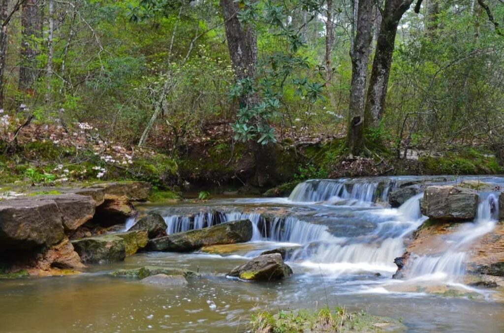 Kisatchie Falls