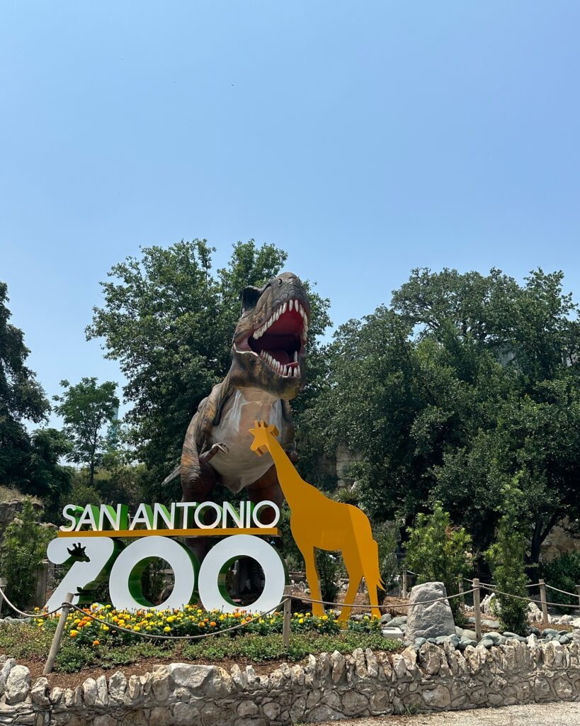 See the Gorillas at San Antonio Zoo