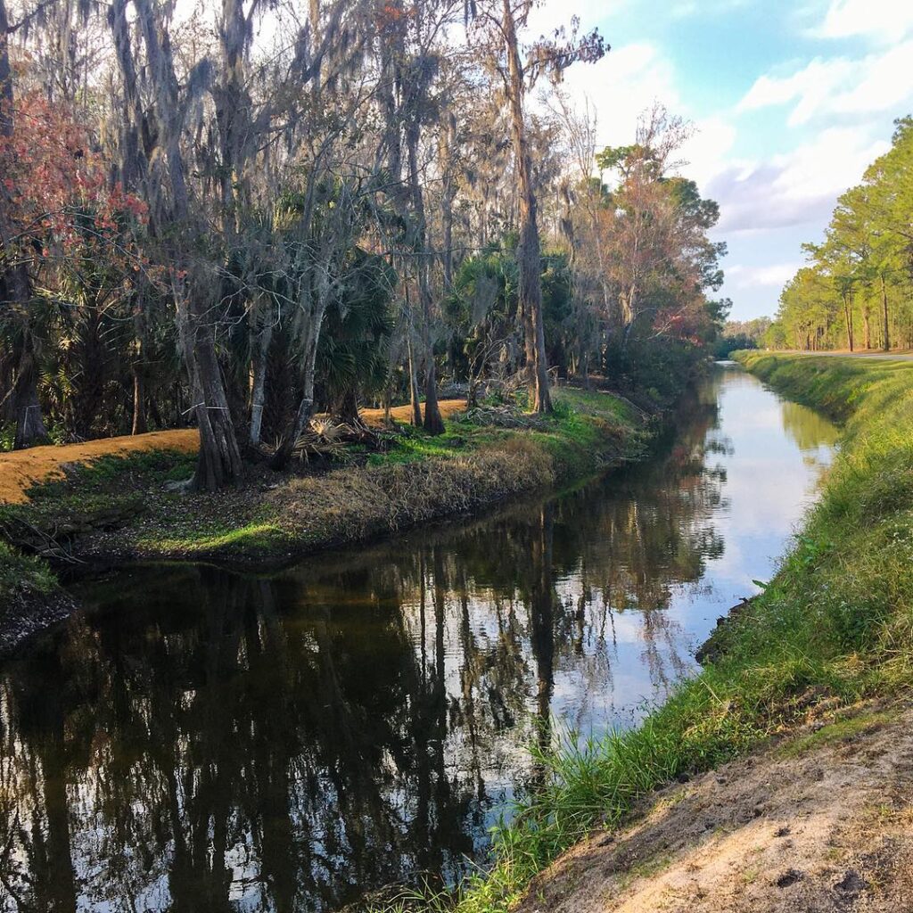 Shingle Creek Trail A Paved Orlando Hike With Water Views and Local History