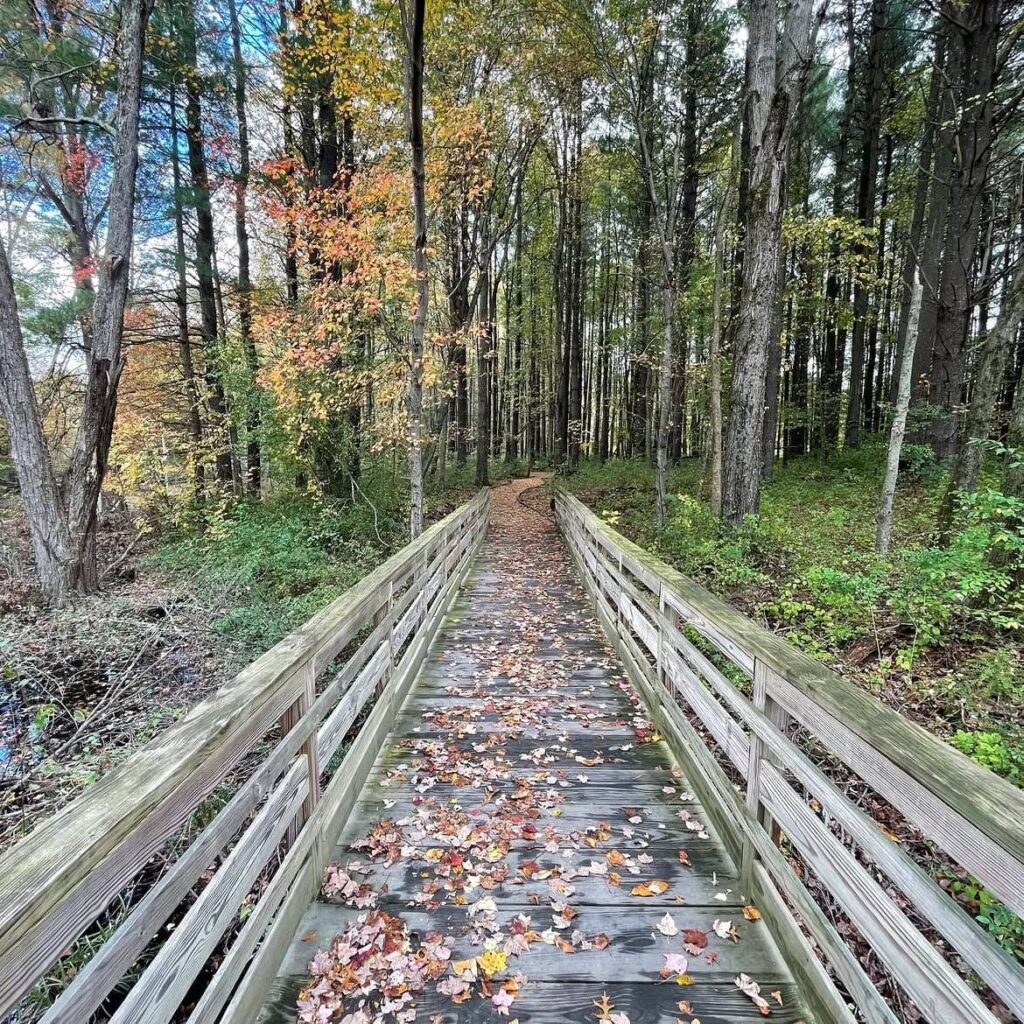 Silvio O. Conte National Fish and Wildlife Refuge, HadleySilvio O. Conte National Fish and Wildlife Refuge, Hadley