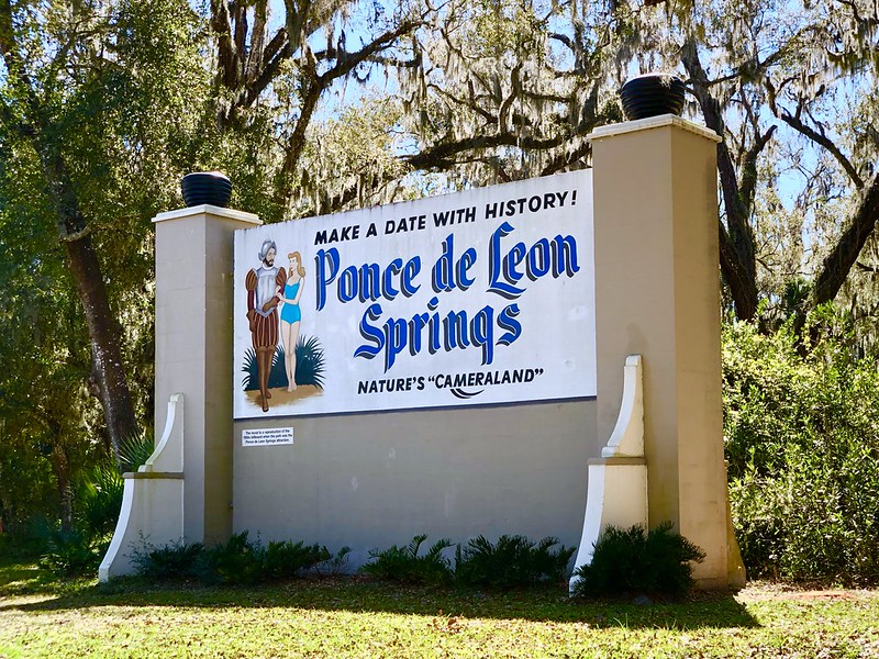 Snorkel at Ponce de Leon Springs State Park. Swim in clear freshwater near 30A.