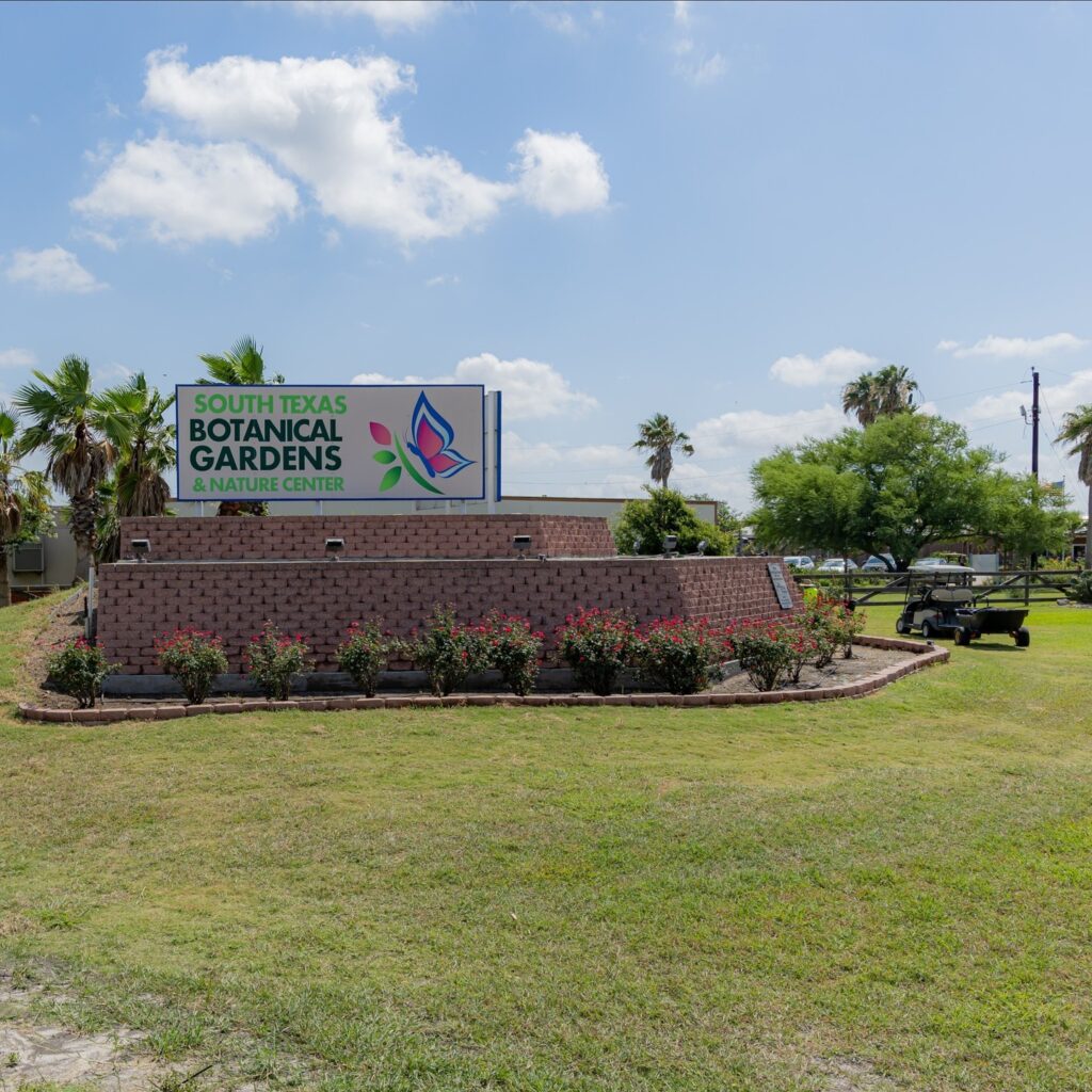 South Texas Botanical Gardens and Nature Center: A Peaceful Outdoor Escape