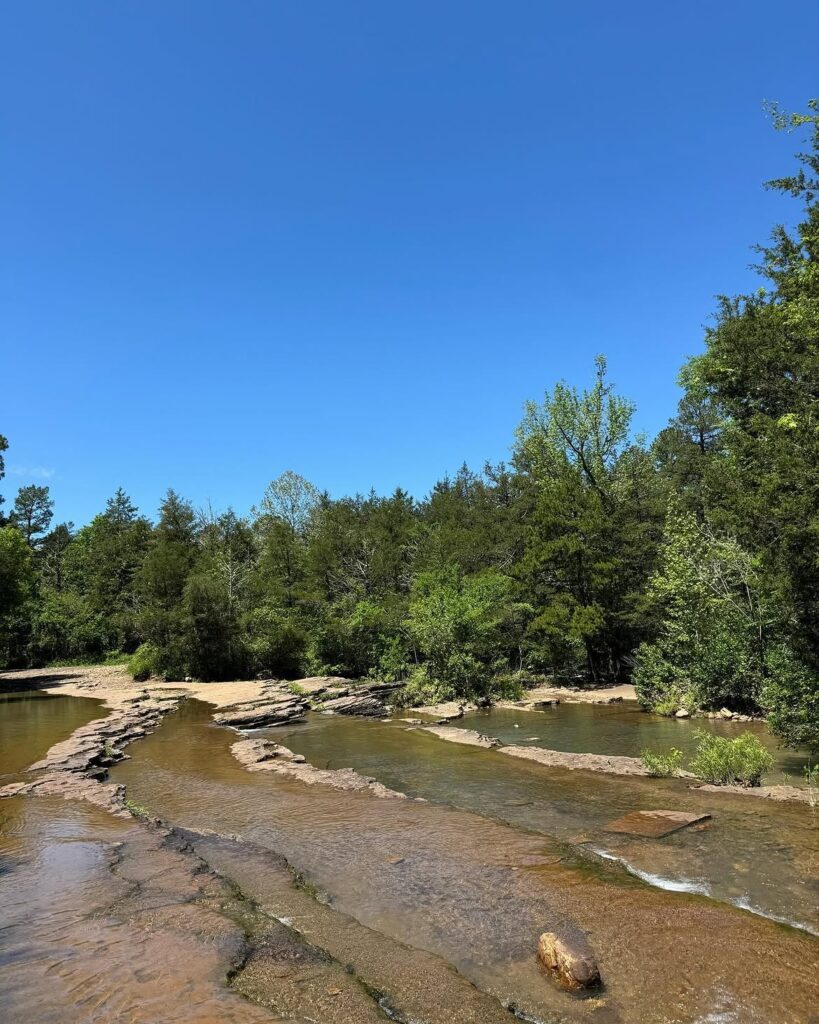 St. Francis National Forest