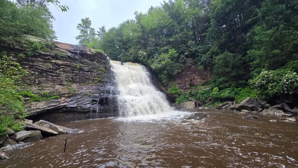 Swallow Falls