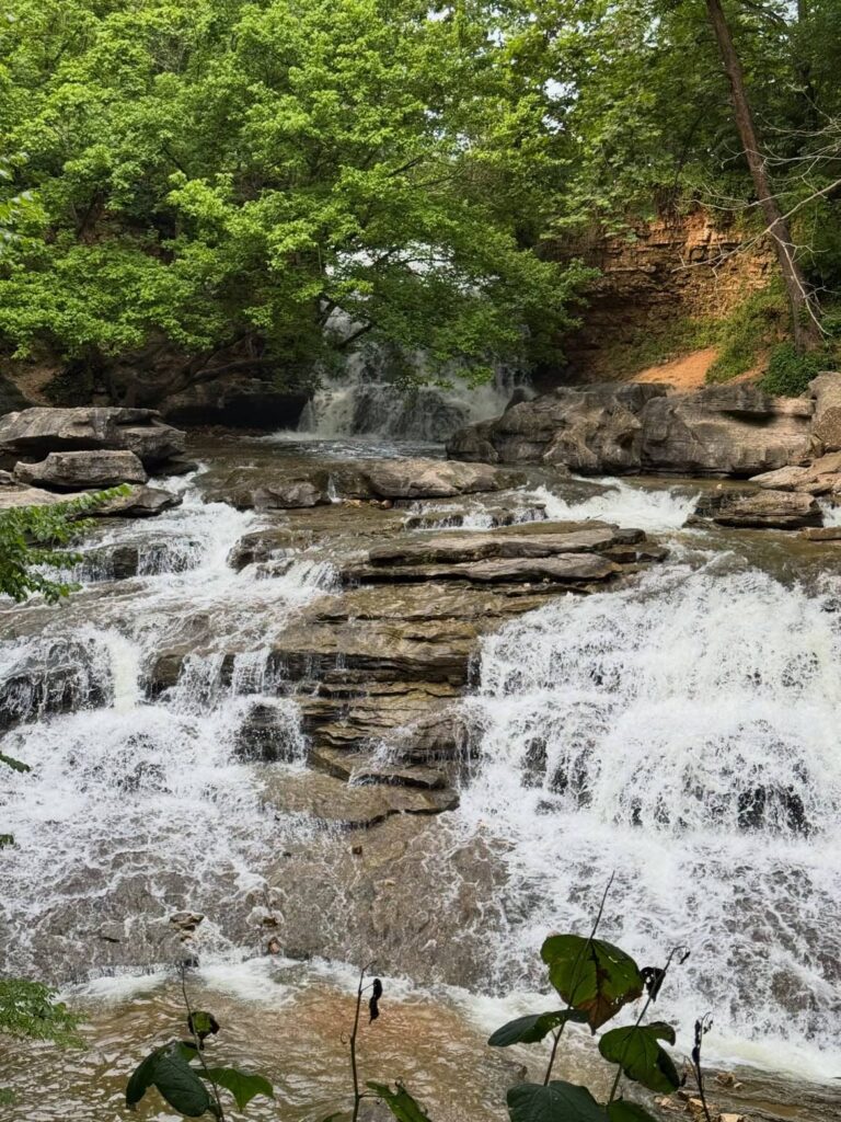 Tanyard Creek Trail in Bella Vista