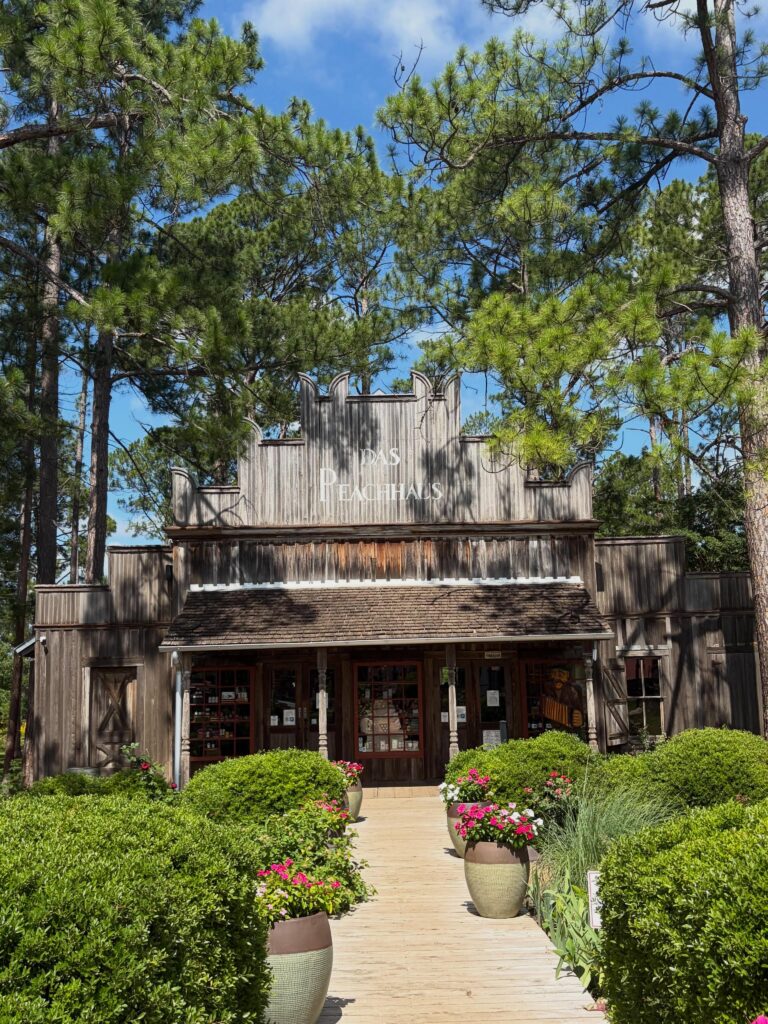 Texas Hill Country Road Trip