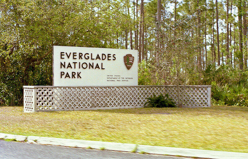Things To Consider Before Visiting Everglades National Park