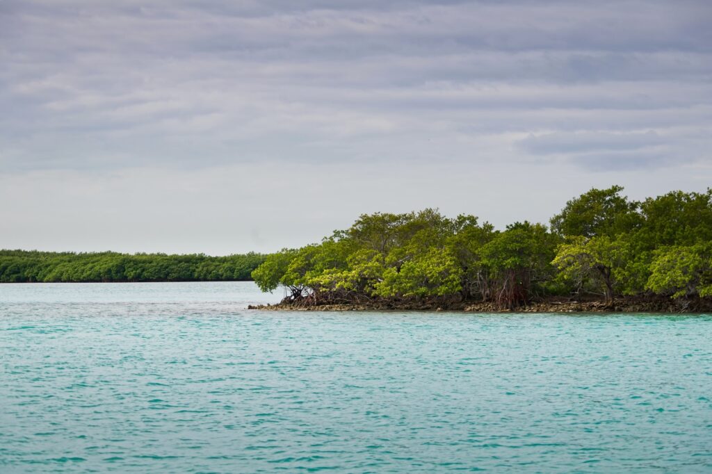 Tips For Visiting Florida’s National Parks