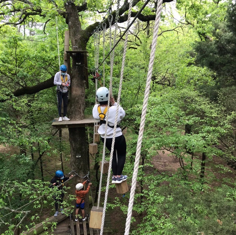 Trinity Forest Adventure Park