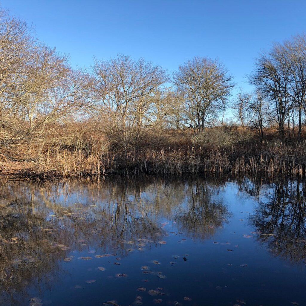 Trustom Pond