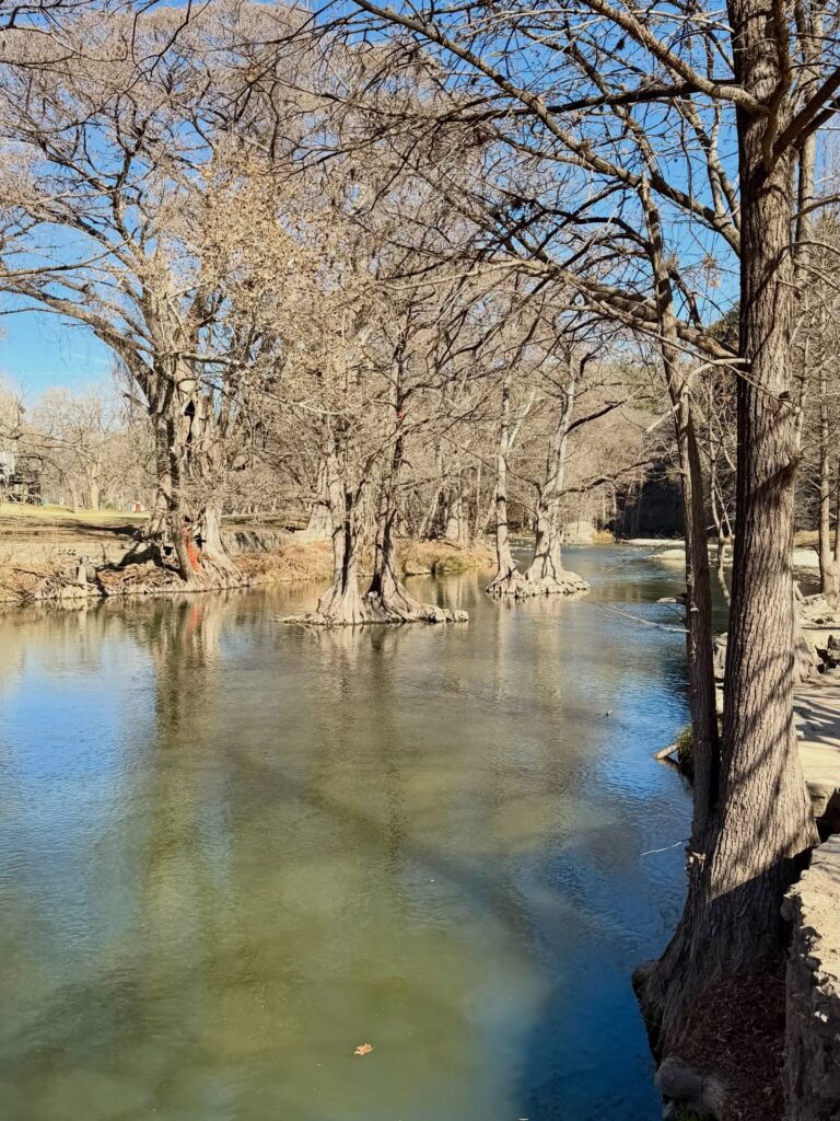 Tube the Guadalupe River