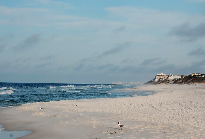 Visit Grayton Beach: Relax on Soft Sand and Clear Gulf Water