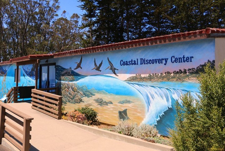 Visit the Coastal Discovery Center Learn About 30A’s Coastal Wildlife