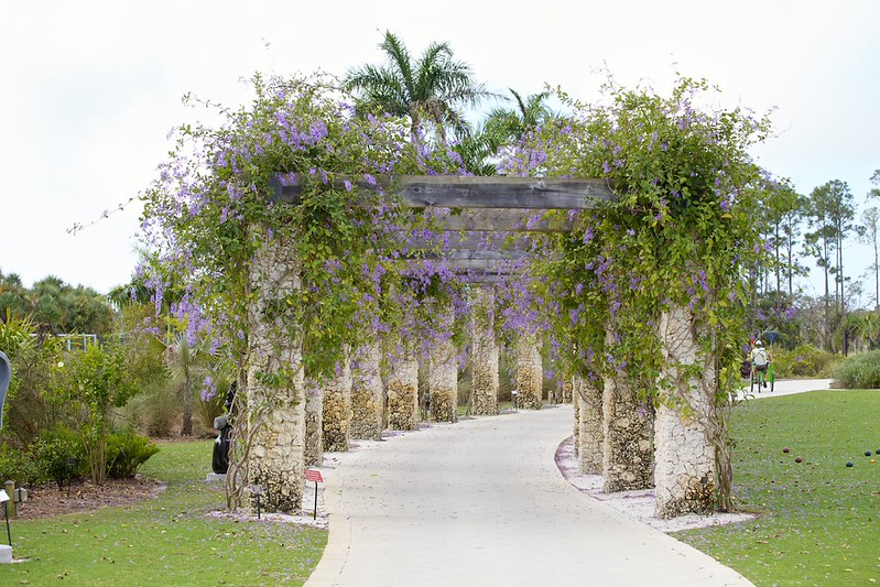 Visit the Naples Botanical Garden's Tropical Plants, Wetlands, and Family-Friendly Spaces