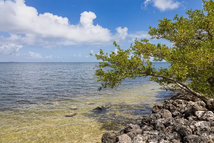 Visitor Center And Jetty Trail