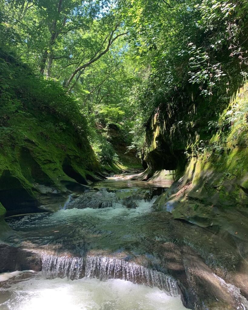 Waterfalls at Portland Arch Nature Preserve