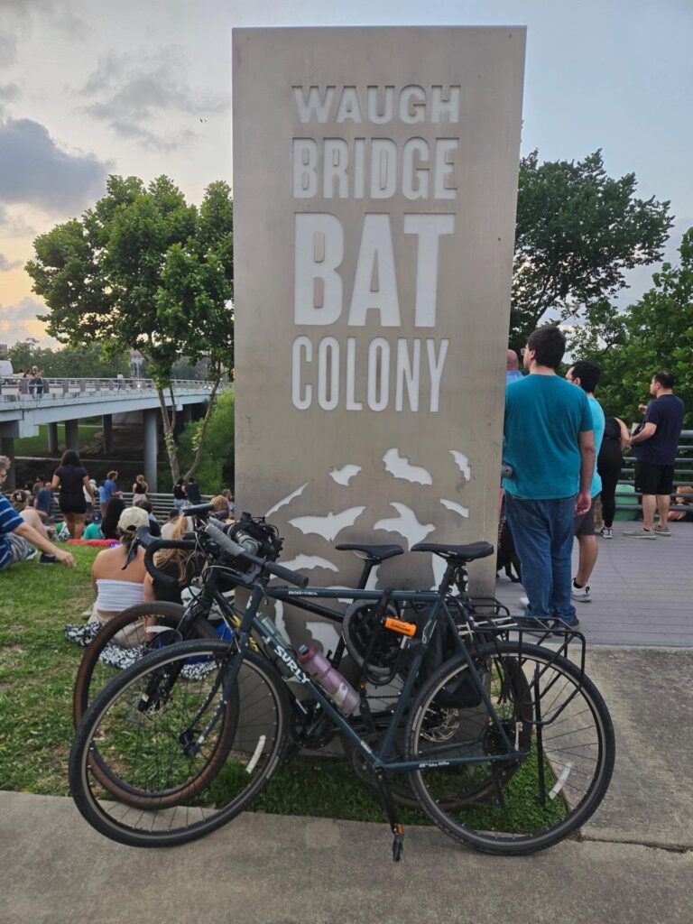 Waugh Drive Bat Colony Watch: Thousands of Bats Fill the Evening Sky