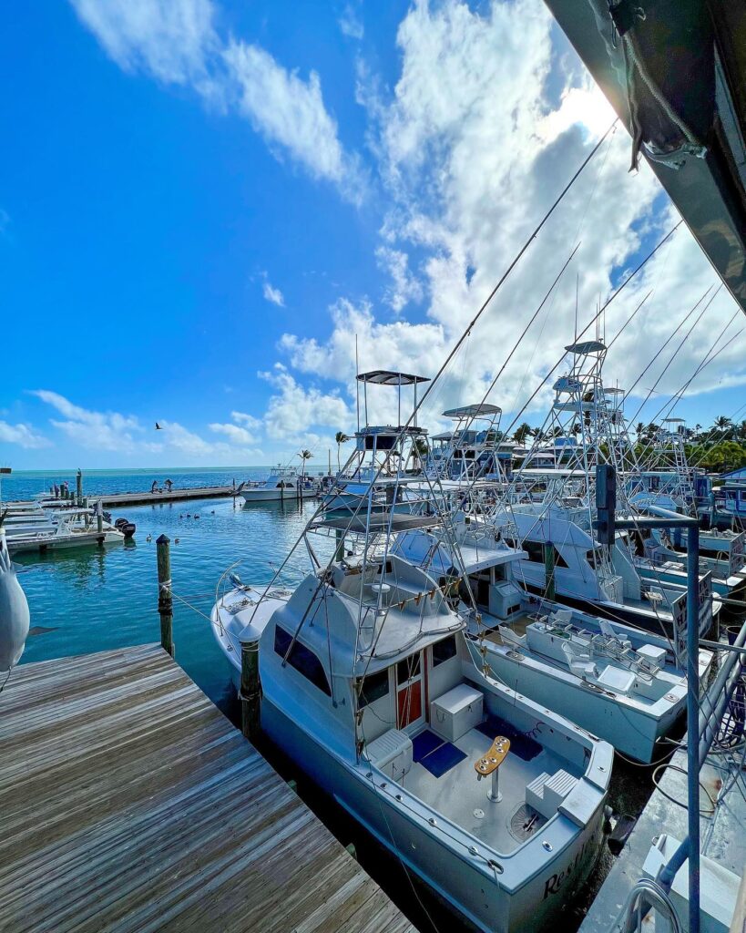 Whale Harbor Rent Jet Skis in Islamorada