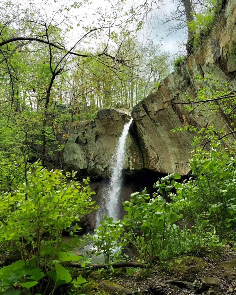 Williamsport Falls