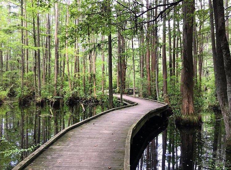Woods Bay State Park